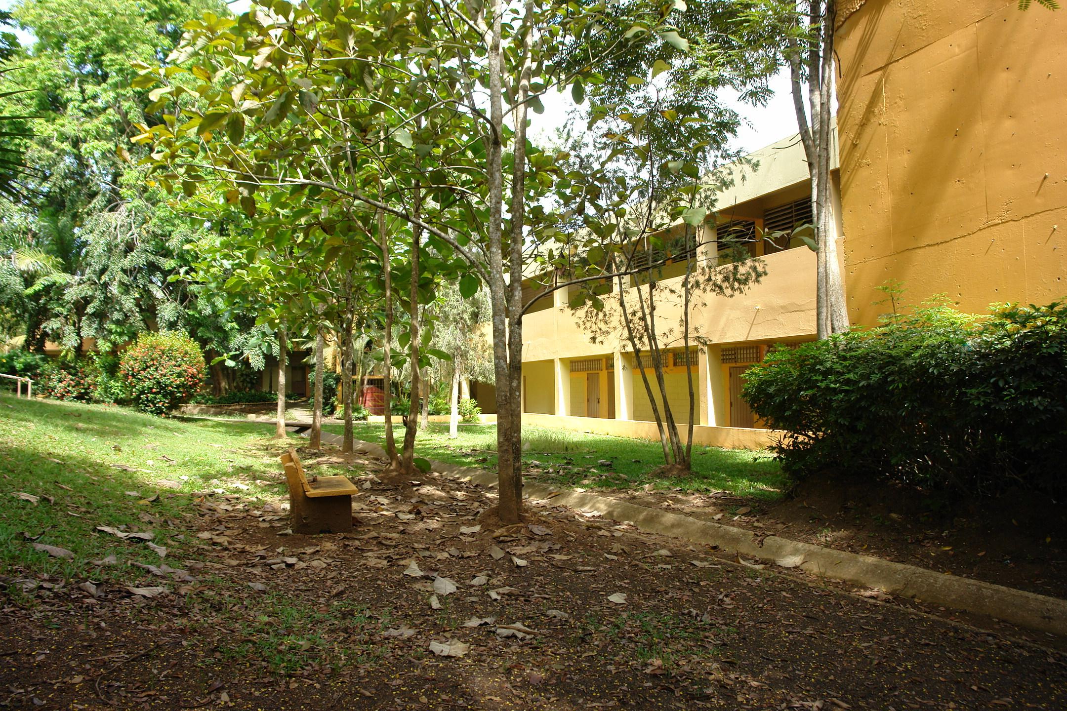 FDII - Aibonito - 2010 00065